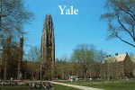 Yale